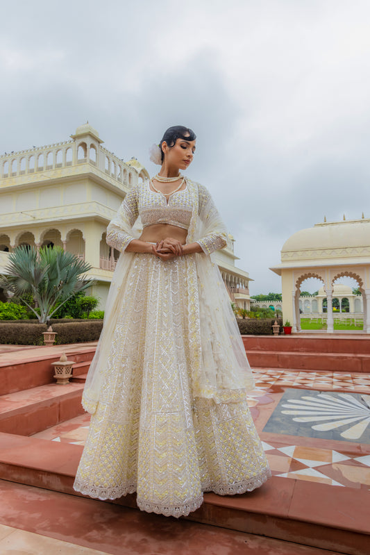 Lehenga Choli Set